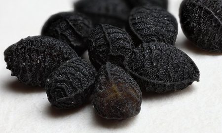 Black Seed