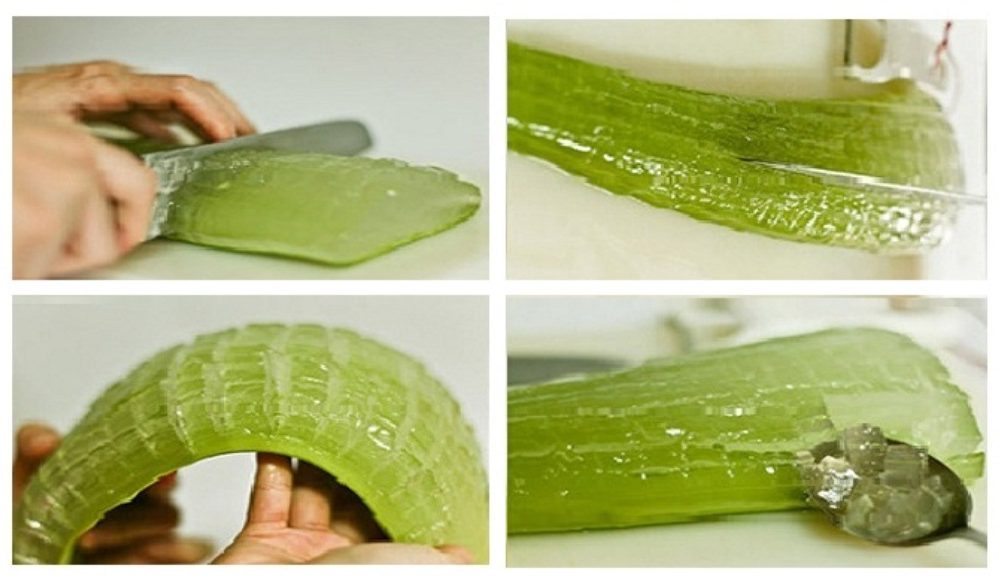 Mind Blowing Reasons Why Aloe Vera Is A Miracle Medicine Plant You 3334