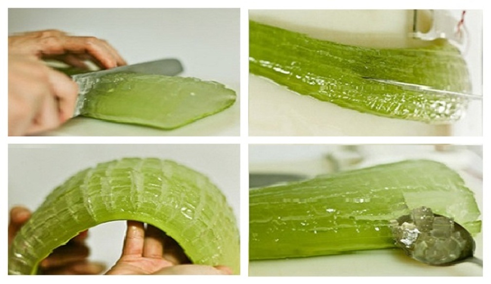 Mind-Blowing Reasons Why Aloe Vera Is A Miracle Medicine ...
