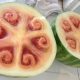 Wild watermelon