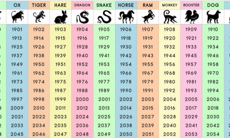 Did you know you can find out some really interesting information about your personality based on the traits of the various animal signs in the Chinese Zodiac?