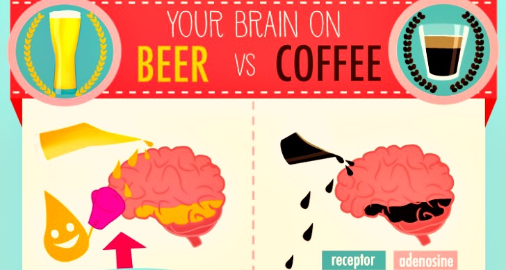 This Is How Your Brain Works On Coffee Vs. Beer. You Will Be Surprised ...