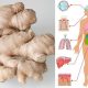 Ginger Extraordinary Healing Properties