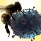 Scientists at the Washington University School of Medicine in St. Louis found that melittin, a toxin found in bee venom, physically destroys the HIV virus, a breakthrough that could potentially lead to drugs that are immune to HIV resistance.