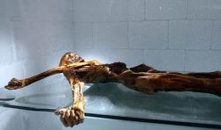 Scientists Discovered World's Oldest 'Iceman' Mummy, And It's A ...