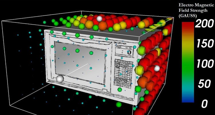 They Say Microwaves Are Bad For You But THIS Is What They