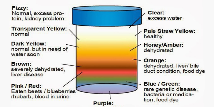 Heres What Your Urine Color Says About Your Health Pay Attention