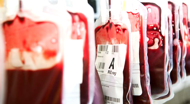 Here's Why You Must Start Donating Blood Today (Proven by Science)