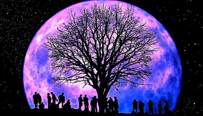 The Full Moon On November 4th Is In Taurus: Get Ready For Heightened ...